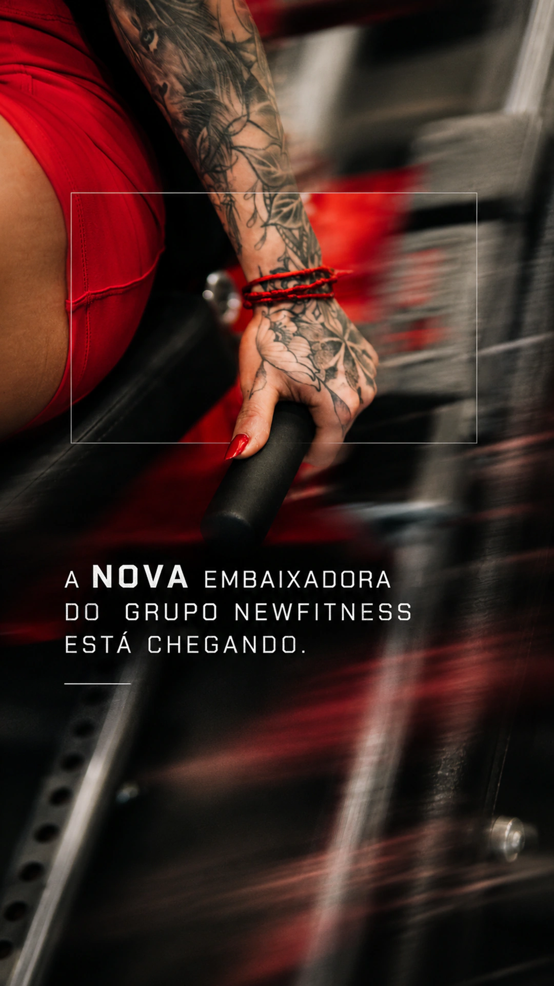 Grupo New Fitness — aplicação e direção visual