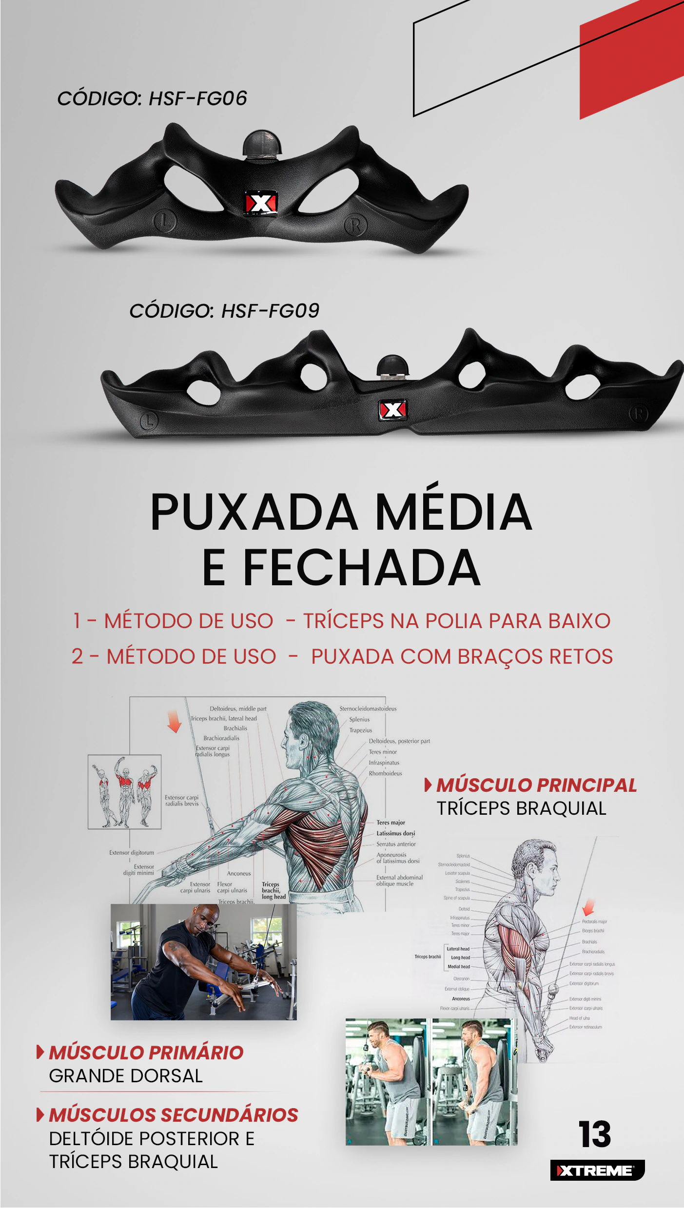 Grupo New Fitness