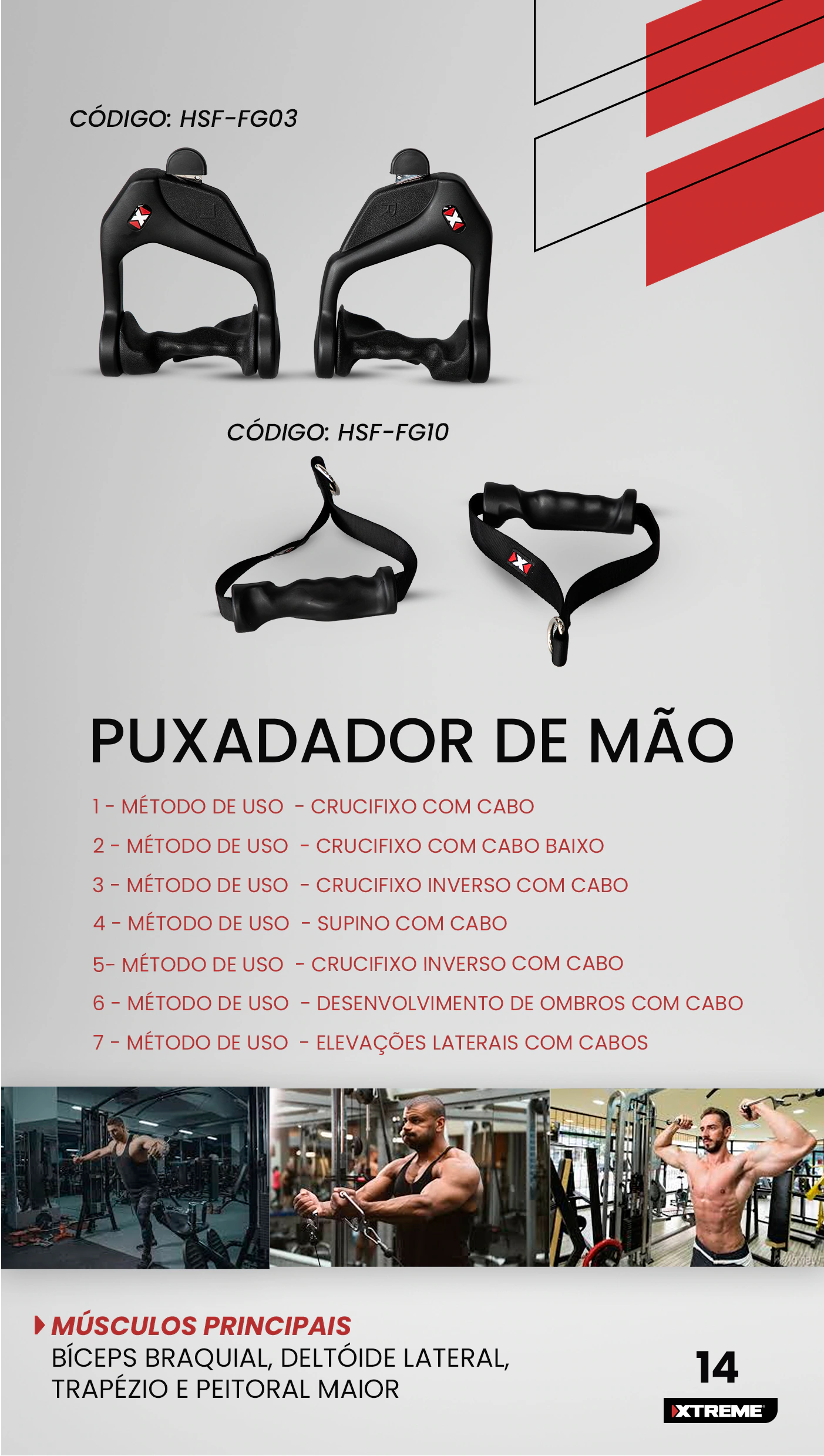 Grupo New Fitness
